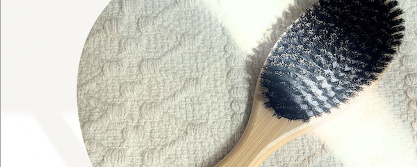 本日発売！ INO BRUSH