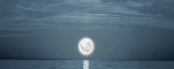 中秋の名月でセルフケア